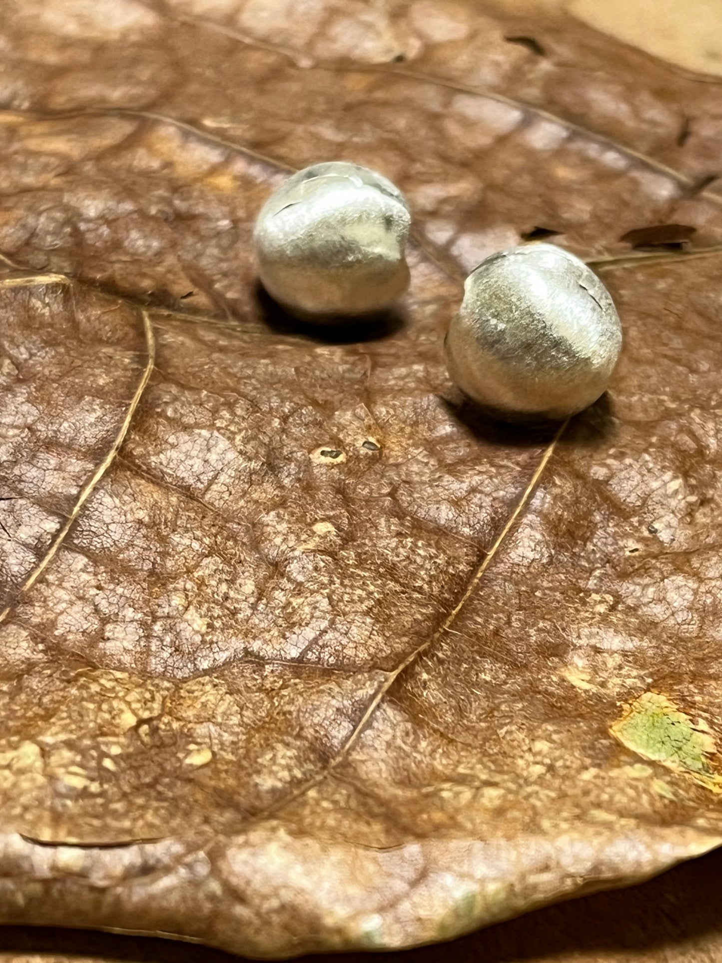 小丞飾 拉絲圓珠耳環 圈口8mm , 珠珠13mm $390